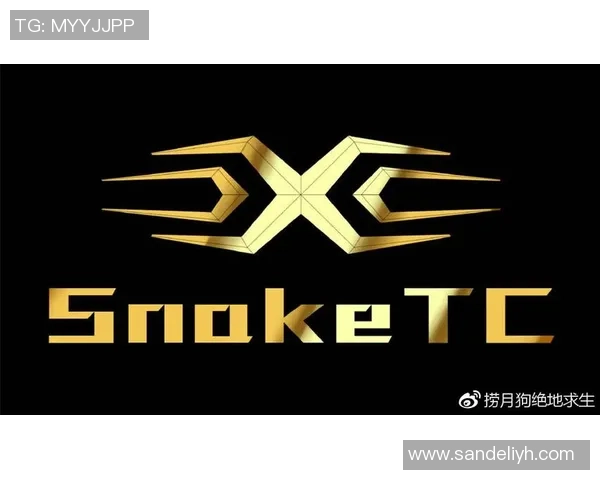 深入解析LNG战队包夹战术背后的策略与执行细节